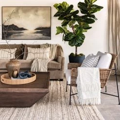 New Growth Designs Fiddle Leaf Fig Tree Large Home + Lifestyle