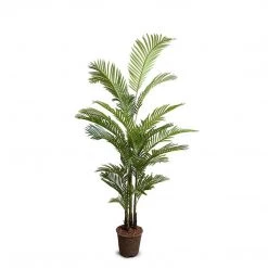 New Growth Designs Areca Palm Tree Medium