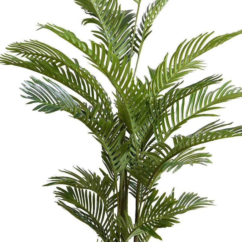 New Growth Designs Areca Palm Tree Medium 4 New Growth Designs Areca Palm Tree Medium