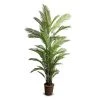 New Growth Designs Areca Palm Tree Large Home + Lifestyle 2 New Growth Designs Areca Palm Tree Large Home + Lifestyle