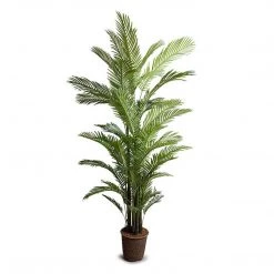 New Growth Designs Areca Palm Tree Large Home + Lifestyle