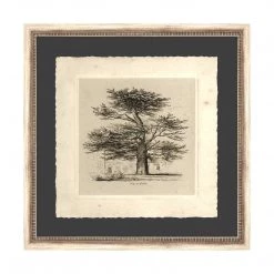 Wendover Art Art + Wall Cedar Vintage Sketch