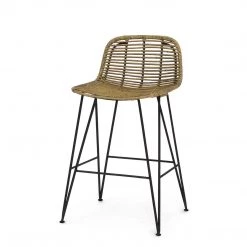 Palecek Furniture Cochabamba Counter Stool
