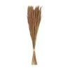 Creative Co-op Ready To Ship Now Dried Natural Tiger Grass Bunch