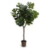 New Growth Designs Fiddle Leaf Fig Tree Large Home + Lifestyle