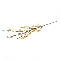 New Growth Designs Forsythia Branch | Flowering