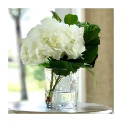New Growth Designs Hydrangea Cutting In Glass - White Home + Lifestyle