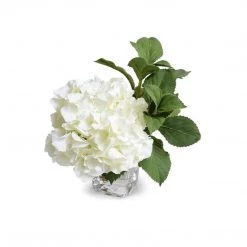 New Growth Designs Hydrangea Cutting In Glass - White Home + Lifestyle