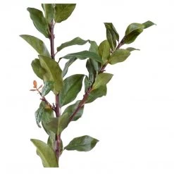 New Growth Designs Laurel Leaf Spray Ready To Ship Now
