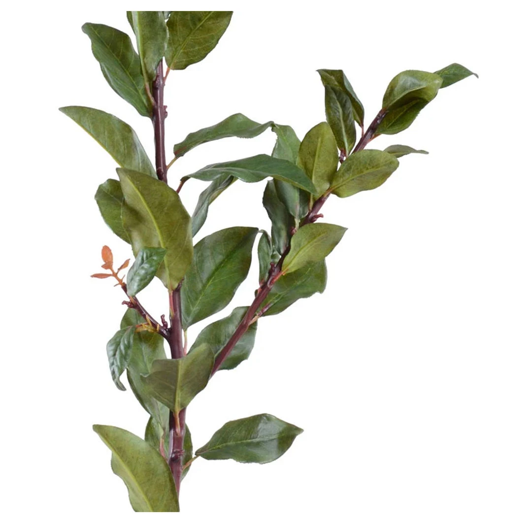 New Growth Designs Laurel Leaf Spray Ready To Ship Now 4 New Growth Designs Laurel Leaf Spray Ready To Ship Now