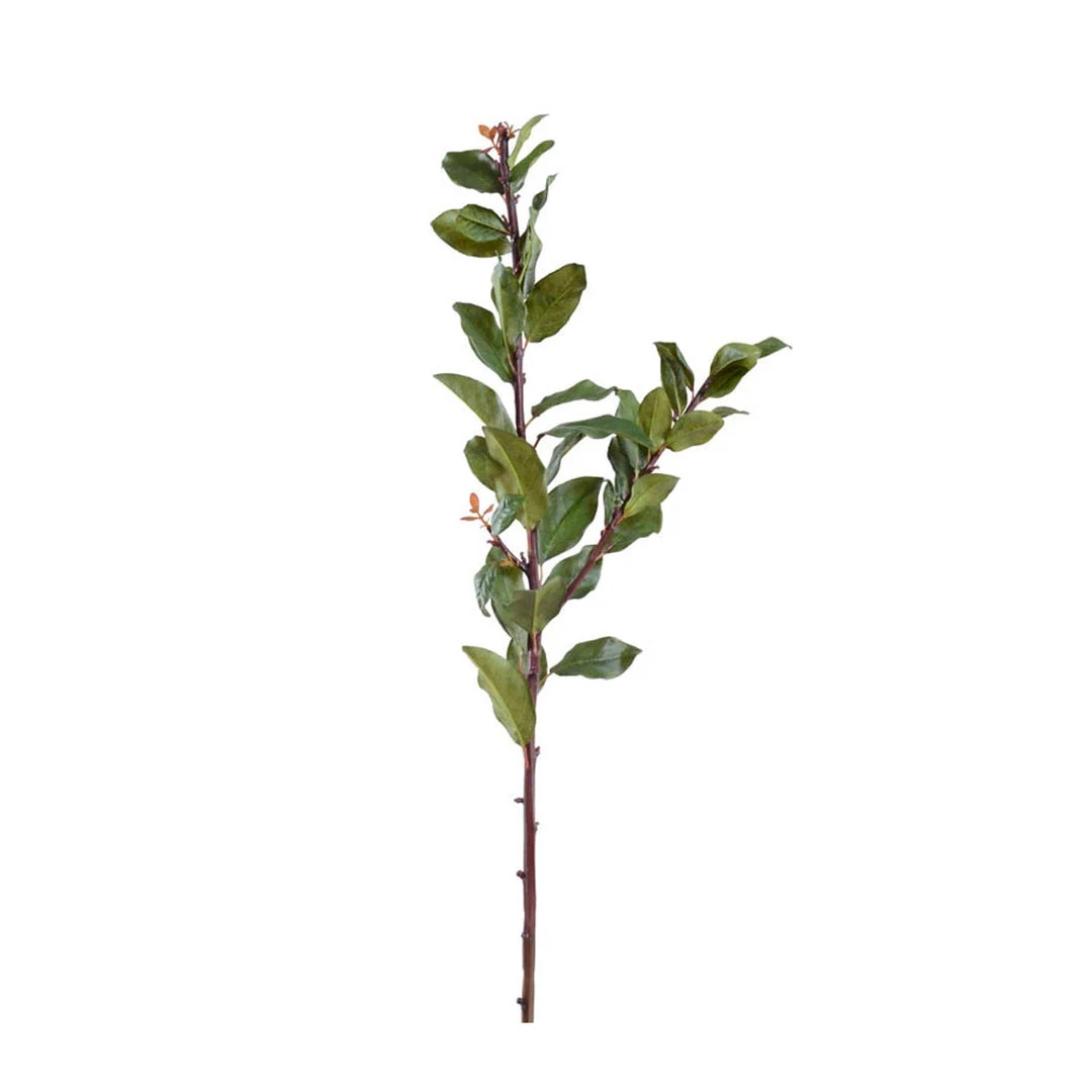 New Growth Designs Laurel Leaf Spray Ready To Ship Now 3 New Growth Designs Laurel Leaf Spray Ready To Ship Now