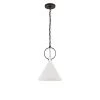 Visual Comfort Limoges Medium Pendant 2 Visual Comfort Limoges Medium Pendant