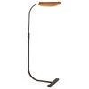 Visual Comfort Lighting Lola Pharmacy Floor Lamp