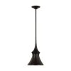 Visual Comfort Lakmos Small Pendant - Aged Iron