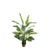 New Growth Designs Home + Lifestyle Traveler's Palm Tree 5.5'