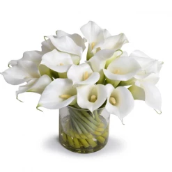 New Growth Designs Home + Lifestyle Calla Lily Arrangement In Glass - White