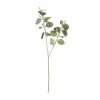 Napa Home & Garden Home + Lifestyle Silver Dollar Eucalyptus Branch