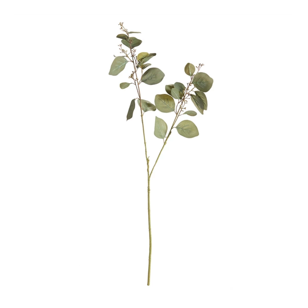 Napa Home & Garden Home + Lifestyle Silver Dollar Eucalyptus Branch 3 Napa Home & Garden Home + Lifestyle Silver Dollar Eucalyptus Branch