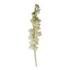 New Growth Designs Ready To Ship Now Tuberose Flower Stem - Fully Flowered 1 New Growth Designs Ready To Ship Now Tuberose Flower Stem - Fully Flowered