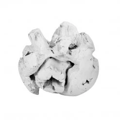 Blue Ocean Traders Outdoor White Root Ball