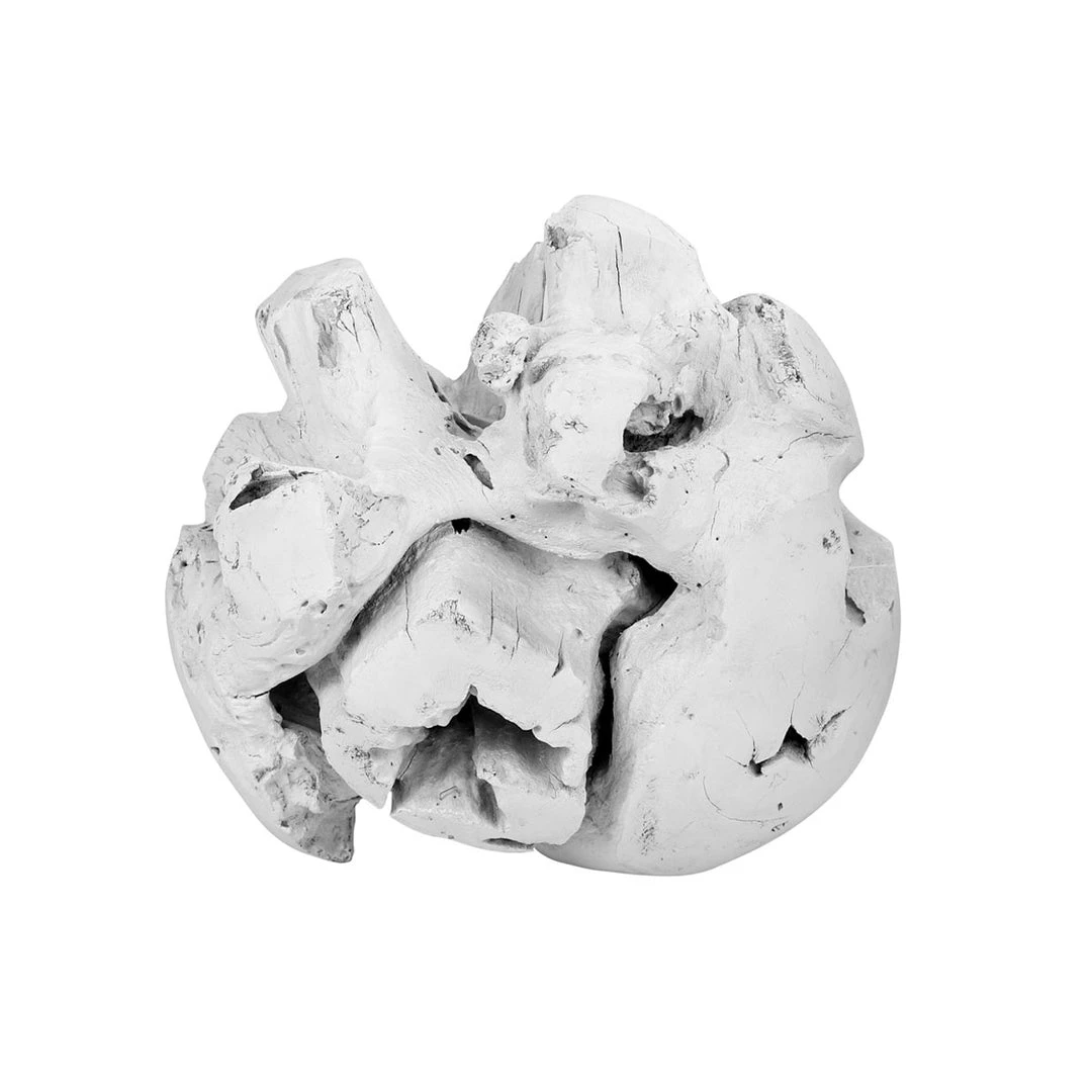 Blue Ocean Traders Outdoor White Root Ball 3 Blue Ocean Traders Outdoor White Root Ball