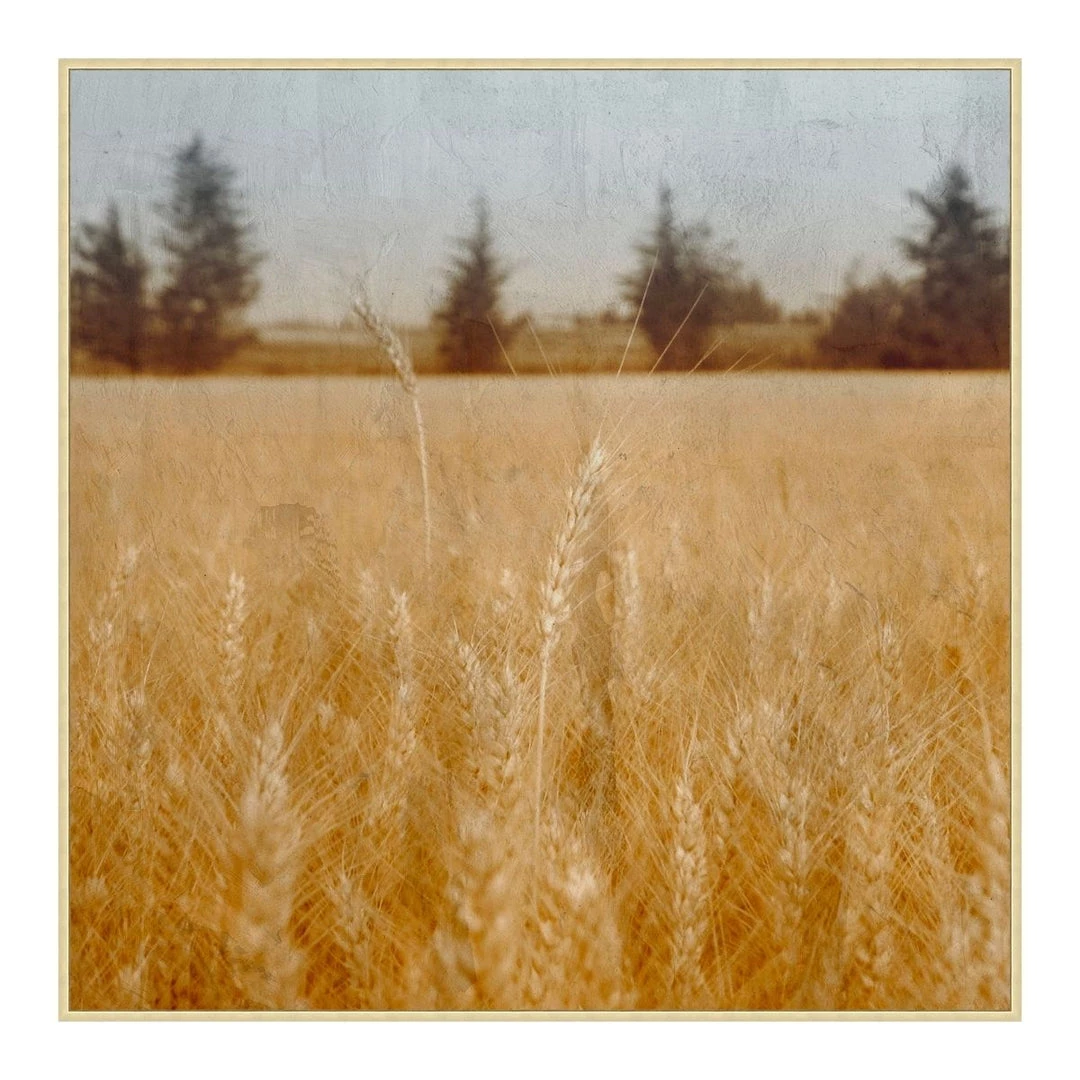 Wendover Art Celerity Art + Wall 3 Wendover Art Celerity Art + Wall