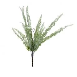 Indaba Fern Frond Sprig