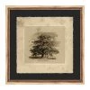 Wendover Art Art + Wall Oak Vintage Sketch