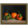 Wendover Art Art + Wall Satsuma 1 Wendover Art Art + Wall Satsuma